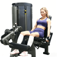 Machine d'extension des jambes en acier de qualité commerciale, avec assise et pile de poids réglable, pour l'entraînement des quadriceps en salle de sport – Fourniture directe usine