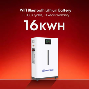 Batería de Litio de Energía Renovable de 51.2V 314Ah 16kWh, Batería de Litio Móvil de 48V 11000 Ciclos 300Ah 15kWh para Almacenamiento de Energía en el Hogar - Product Image 1