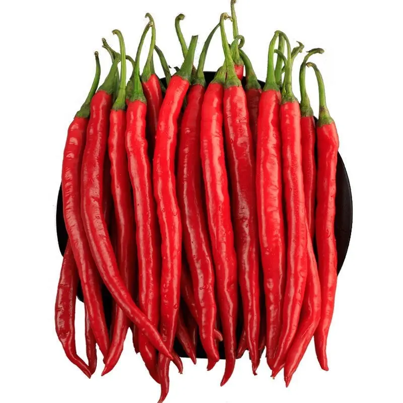 Kruiden Groothandel Natuurlijke Peper Rode Chilipeper Met Meerdere Kruidigheidsniveaus Peper Chili Voor Voedselkleur