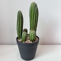 Plante de cactus artificielle en plastique, décoration de jardin, cactus pour la décoration intérieure et extérieure, maison, bureau, plantes artificielles, plantes factices