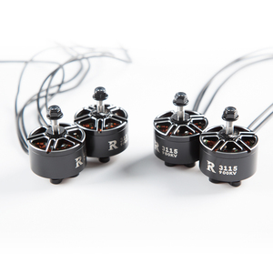 FPV 3115 900KV 3-6S Protek60 Metal Mark4 Kit Drohne <span class=keywords><strong>RC</strong></span>-Modell 10-Zoll FPV-Rahmen <span class=keywords><strong>RC</strong></span> Multirotor X-Klasse <span class=keywords><strong>RC</strong></span> R3115 Bürstenloser Motor - Product Image 2