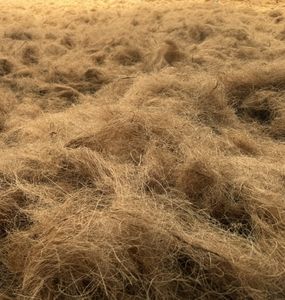 จำหน่ายใยมะพร้าวสีน้ำตาลธรรมชาติสำหรับที่นอน งานฝีมือรักษ์โลก การทำเชือก และการใช้งานที่ยั่งยืน - Product Image 1