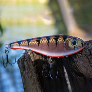 Leurre de pêche Selco Hard Plastic Sinking Jerkbait pour la pêche au brochet et au lucioper en lac - Product Image 3