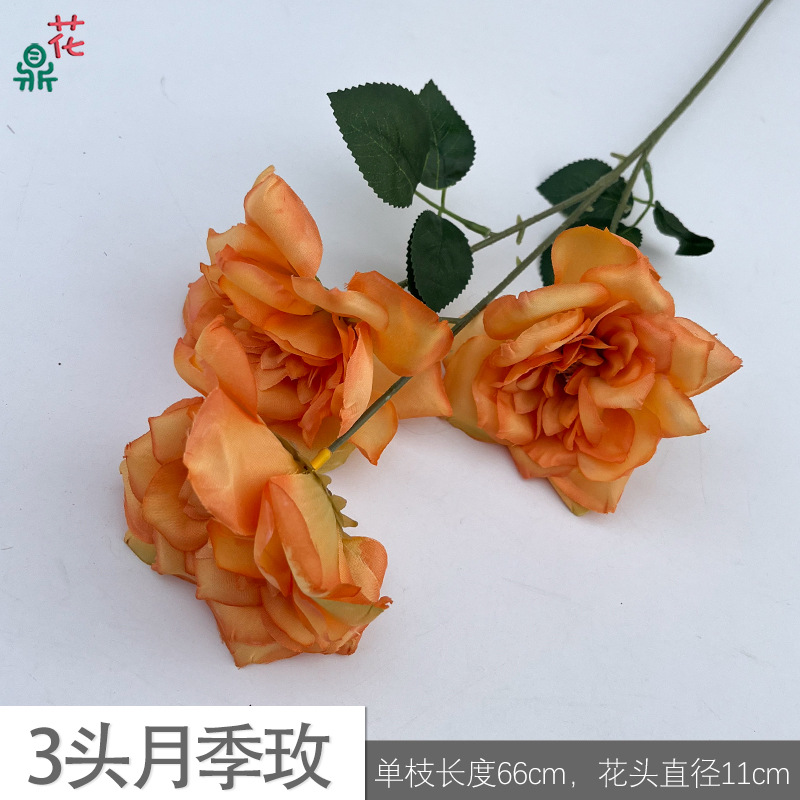 3 rose roses zl orange