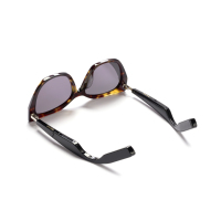 Lunettes de soleil audio intelligentes AI haut de gamme, lunettes de soleil musicales de haute qualité, lunettes de soleil intelligentes à charnières en alliage de titane et verres polarisés