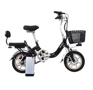 Batería de Plomo-Ácido de Alta Capacidad de 48V y 20 Pulgadas, Económica y Potente, Motor sin Escobillas de 1000W, Alta Velocidad Electrónica, Largo Alcance - Product Image 2