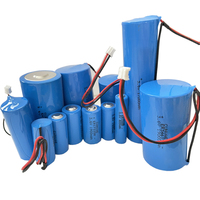 Batería de Litio Desechable de Alta Temperatura (150 Grados) ER14250S 3.6V 0.8Ah 1/2AA 14250S 14250H para Juguetes