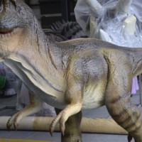 Modèle de T-Rex animatronique réaliste personnalisé OEM Zigong en métal pour utilisation intérieure/extérieure, idéal pour parcs d'aventure, parcs d'attractions, location, spectacles et centres commerciaux