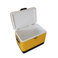 Nouvelles idées de produits : Glacière métallique 30L/40L/50L – Boîte isotherme pour la pêche