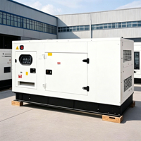 Perkins Ricardo Cummins Dieselgenerator 15kVA 20kVA 50kVA 100kVA 200kVA 300kVA kW