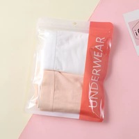 Sacs en plastique transparents refermables, imprimés sur mesure, recyclables, avec logo, pour l'emballage de sous-vêtements, culottes menstruelles