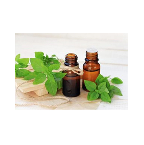 Aceite de Limoncillo Natural, Aceite Vegetal Puro, Aroma Cítrico Fresco, para Cuidado de la Piel y el Cabello, Aromaterapia y Uso Cosmético, Suministro al por Mayor - Product Image 2