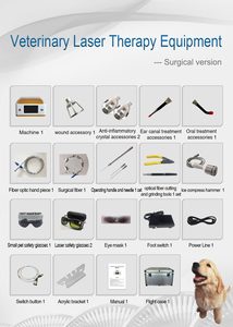 Pet Clinic Veterinary Laser Animals Small Weight Surgery Therapy Vet Laser <strong>Orthopaedic</strong> <strong>Instruments</strong> - Product Image 4