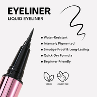 Eyeliner liquide à séchage rapide, résistant à l'eau, tenue toute la journée, eyeliner liquide avec logo personnalisé