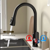 Robinet de cuisine extractible pour hôtel, mural ou sur comptoir, eau chaude et froide, tête de pulvérisation rotative, mitigeur en céramique à poignée unique