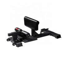 Fitness Réglable Exercice Assis Jambe Sport Usage Domestique Squat Rack Banc Sissy Squat Machine
