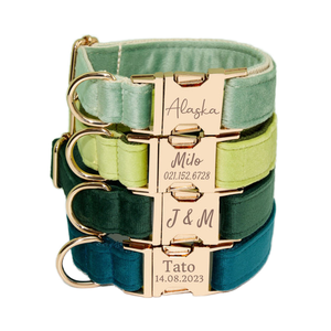 Collier de chiot en cuir tactique moderne personnalisé vert avec métal doré gravé pour petits chiens - Product Image 1