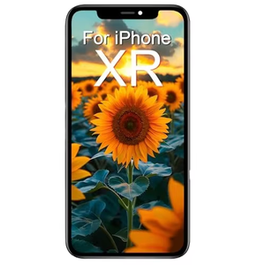 Lcd de téléphone portable pour <span class=keywords><strong>Apple</strong></span> <span class=keywords><strong>iPhone</strong></span> <span class=keywords><strong>XR</strong></span> 11 Pantalla écran d'affichage d'origine pour <span class=keywords><strong>iPhone</strong></span> <span class=keywords><strong>XR</strong></span> verre de changement - Product Image 1