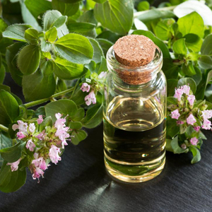 Fornitori di Olio Essenziale di Origano 100% Puro Vegano di Grado Alimentare Olio di Origano Selvatico con Alto Contenuto di Carvacrol - Product Image 3