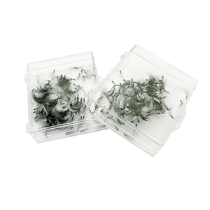Promade fait à la main 3D-20D C CC D Curl Volume Fans longueur mixte Extensions de <span class=keywords><strong>cils</strong></span> lâches Base pointue 0.07mm <span class=keywords><strong>Extension</strong></span> de <span class=keywords><strong>cils</strong></span> <span class=keywords><strong>pour</strong></span> - Product Image 4