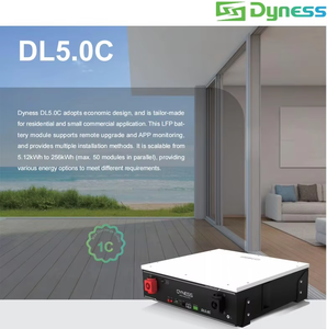Batería de Litio Dyness Lifepo4 con 10 Años de Garantía, LV DL5.0C 5kwh 20kwh 50kwh 100kwh, Batería Solar de Litio para el Hogar - Product Image 2