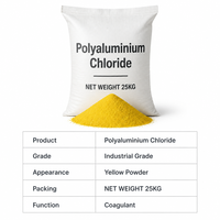 Chlorure de polyaluminium en poudre blanche PAC, coagulant pour le traitement de l'eau
