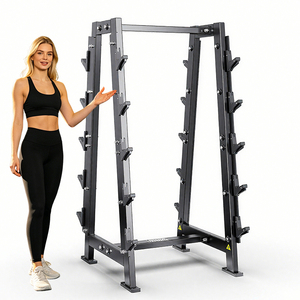 Precio de Fábrica al por Mayor: Soporte para Mancuernas y Pesas para Fitness en Casa WD-F971 - Tu Entrega de Fitness Confiable - Product Image 1