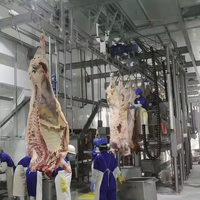 Ligne d'abattage de bétail clé en main avec machine de lavage de carcasses en acier inoxydable 304, équipement d'abattoir certifié CE Halal pour usine de viande bovine