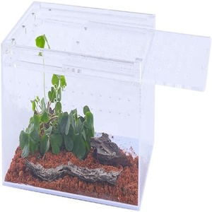 Cao trong suốt nhỏ bò sát môi trường sống Acrylic vật liệu trong suốt Feeder cho Ốc Bọ Cánh Cứng nhện Tắc Kè Hoa Tắc Kè Hoa - Product Image 4