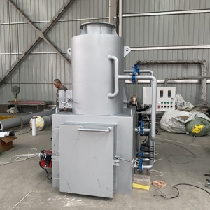 Incinérateur de déchets médicaux entièrement scellé en acier au carbone pour le traitement des déchets hospitaliers d'obstétrique et de gynécologie - Product Image 2