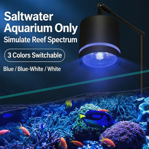 Lampe à pince LED 20W bleue et blanche réglable <span class=keywords><strong>pour</strong></span> <span class=keywords><strong>aquarium</strong></span> d'<span class=keywords><strong>eau</strong></span> salée et d'<span class=keywords><strong>eau</strong></span> <span class=keywords><strong>douce</strong></span>, corail, plante aquatique, aquascape <span class=keywords><strong>pour</strong></span> <span class=keywords><strong>aquarium</strong></span> de poissons, économe en énergie - Product Image 1