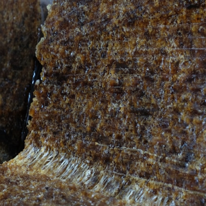 Caoutchouc de qualité technique SVR 20 en caoutchouc vietnamien pour applications de moulage industriel à long terme Performance stable - Product Image 1