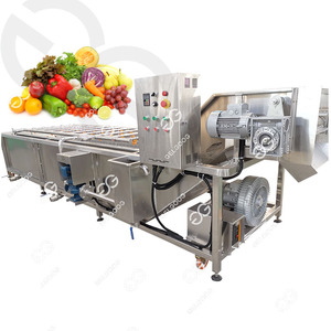 Gelgoog 1ton/h Fruit And Veggie Fresh Fruits Cleaning Washing Machine Vegetable Fruit Processing Washing Machine