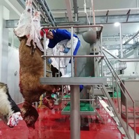 Casa prefabricada Granja Edificio Matadero de animales Matadero Planta de procesamiento de carne Construcción