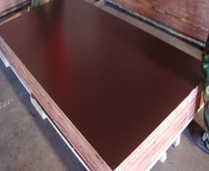 Contrachapado de Abedul Fabricado en China, Recubierto con Película, Gran Tamaño 1250 x 2500 mm, <span class=keywords><strong>Espesor</strong></span> 12 mm 18 mm, Contrachapado WBP con Pegamento - Product Image 2