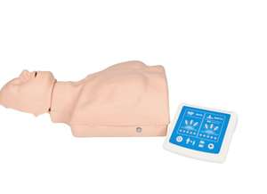 Modèle anatomique de mannequin de formation en RCP en PVC Zhizao Medical Sciences pour les écoles et les hôpitaux - Product Image 2