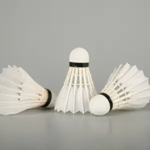 Vente chaude Lingmei marque pas cher prix 10 modèle volant de Badminton volant en plumes d'oie pour la pratique