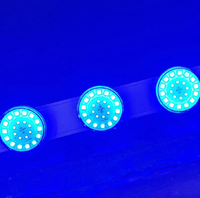 Ampoule LED Cabochon Carnival AC24V 60mm Chameleon pour Manèges, Étanche IP65 RGBW, Lumières Ponctuelles E14 pour Parcs d'Attractions et Fêtes Foraines