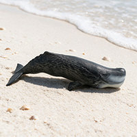 Modelos de Animales Marinos Transfronterizos de Gran Demanda: Ballena Gris, Ballena Azul, Ballena de Cabeza Curva, Ballena Espada, Orca, Narval - Juguetes de PVC y Figuras de Animales