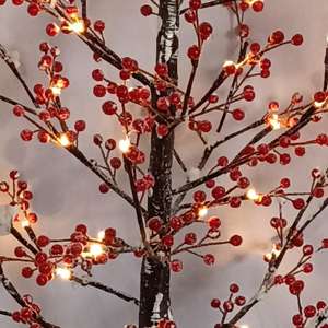 Led Rouge Lueur Chaud Blanc Bouleau Lumières Vacances Nouvel An Décoration Fête Activités - Product Image 6