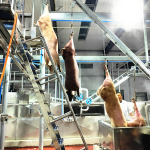 Cao cấp Hog slaughterhouse thiết bị cơ giới <span class=keywords><strong>Pig</strong></span> Farming máy móc với Core Pump & mang - Product Image 3