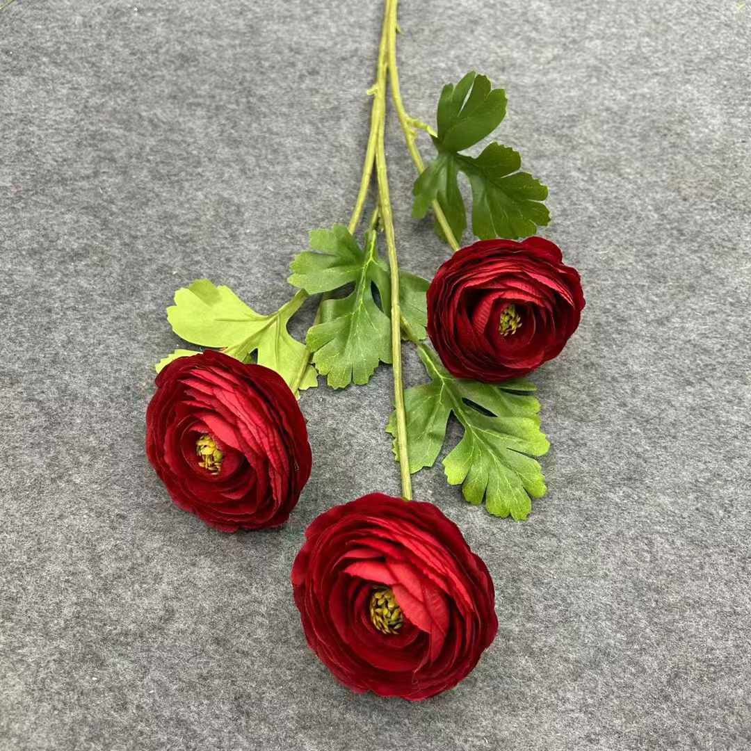 Ranunculus 4