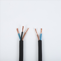Câble en caoutchouc flexible de haute qualité YZ 2Core 3Core 0,75-6mm², âme en cuivre GB/IEC, résistant à l'huile, pour équipement industriel 2*0,75