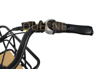 QUEENE/48V250W 500W entraînement par courroie vélo de ville électrique pour femmes vélo électrique motorisé central avec 7 vitesses intérieures - Product Image 4