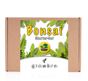 Bonsai Wisteria Grow Kit-Cultivez votre propre bonsaï Bro, cadeaux pour femmes et hommes, Bonsai Starter Kit - Product Image 5