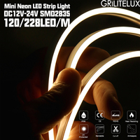 Bande lumineuse LED néon flexible en silicone 6x6mm DC12V/24V avec diffuseur tubulaire encastré étanche IP65 et dimmable pour utilisation en armoire