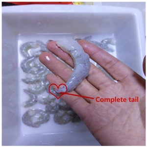 กุ้งการประมวลผลการทำความสะอาดกุ้งเครื่องปอกเปลือกสำหรับขายกุ้งปอกเปลือก - Product Image 5