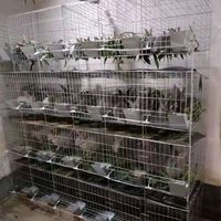 Cage d'élevage de lapins galvanisée à chaud personnalisable, neuve, avec maison et nid pour lapins, à vendre