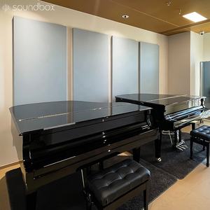 Звукопоглощающие акустические панели из тканевого волокнистого материала, устраняющие эхо в помещении. - Product Image 4