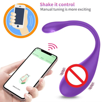 Heißer Verkauf Kabelloser Bullet-Vibrator Tragbarer Slip-Vibrator mit Fernsteuerung über Handy-App Vibrator-Ei Erotikspielzeug für Erwachsene